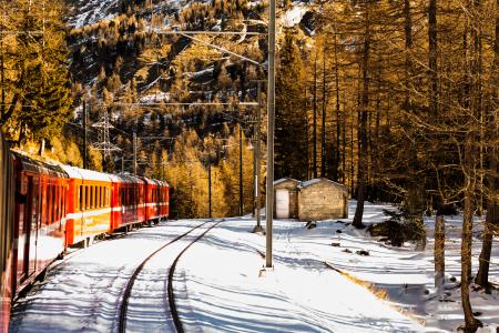 Red Train Near Trees