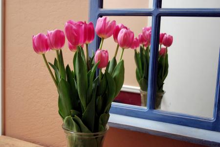 Reflected Tulips