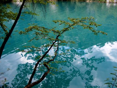 Reflection in the Lake