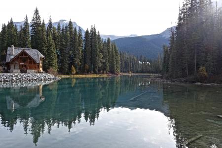 Reflection of Trees in Lake