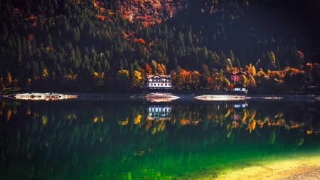 Reflection of Trees in Lake