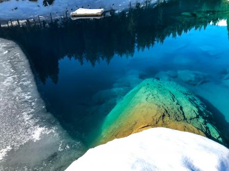 Reflection Of Trees on Body Of Water