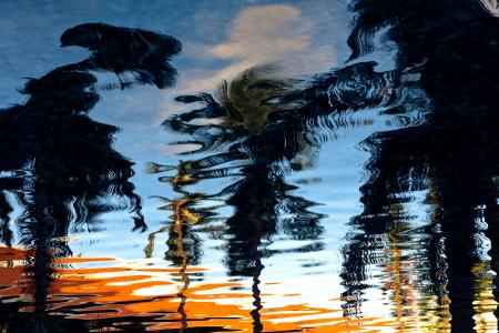 Reflection of Trees on Ripple Water