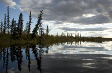 Reflective Lake