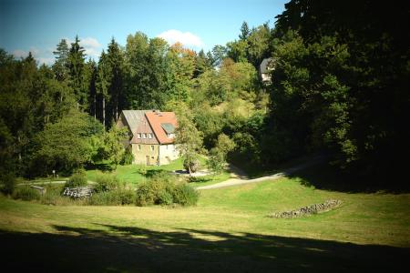 Residence in the Woods