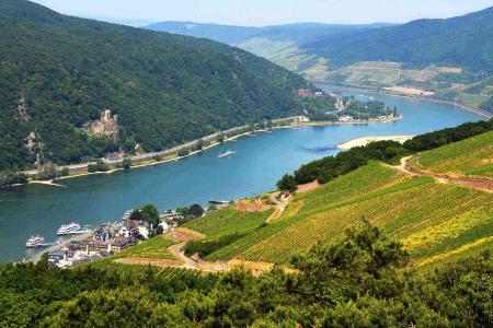 Rhine River