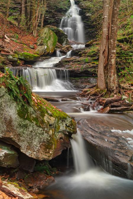 Ricketts Glen Waterfall Layers - HDR