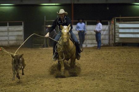 Rider in the Ring