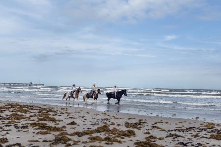 Riding on the Shore