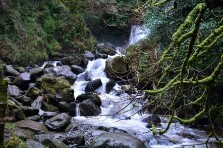 Ring of Kerry - 34