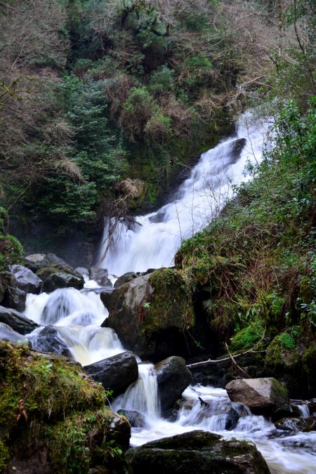 Ring of Kerry - 37