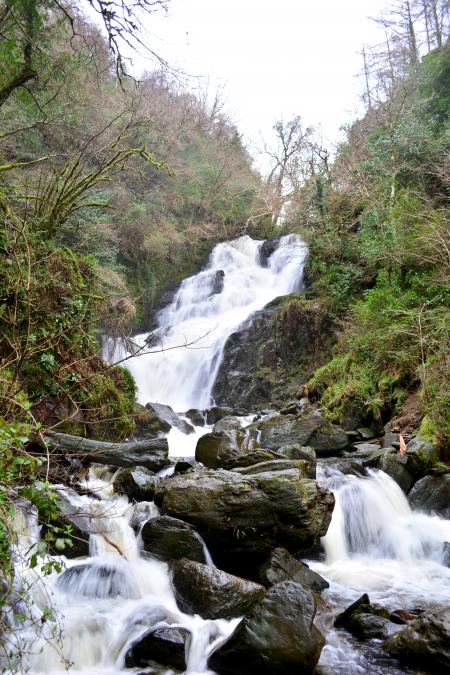 Ring of Kerry - 46