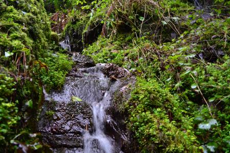 Ring of Kerry - 47