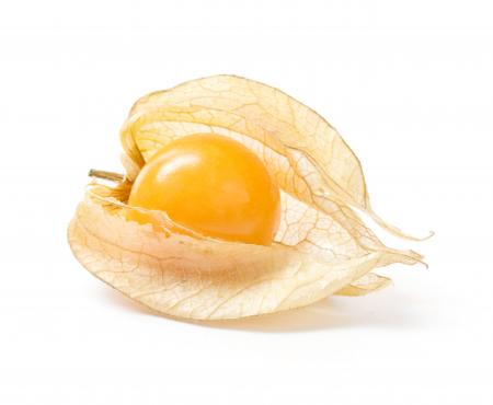 Ripe physalis isolated on white