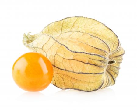 Ripe physalis isolated on white