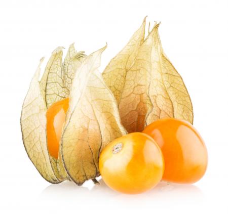 Ripe physalis isolated on white