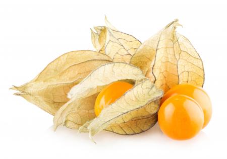 Ripe physalis isolated on white