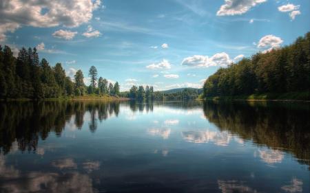 River and Forest