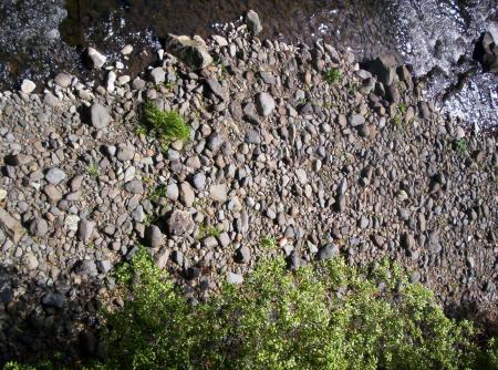 River Bed Textures
