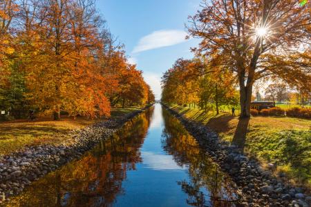 River Between Brown Leafed Trees during Daytime