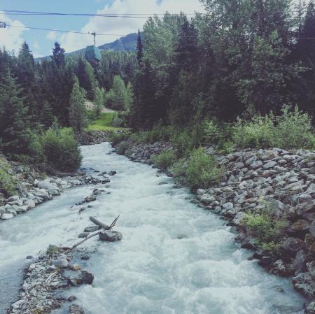 River Between of Grey Pebbles and Green Trees