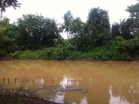 River in Bavel, Nature in Beng Lake