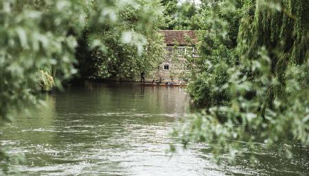 River in Middle of Trees