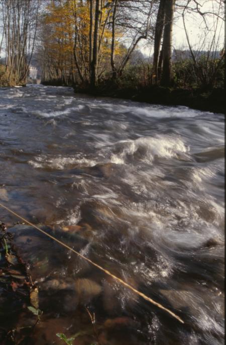 River Landscape