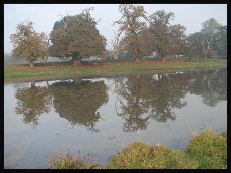 River near Banbury, Oxford