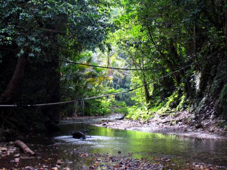 river scene