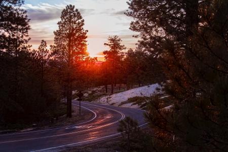 Road Amidst Trees Against Sky during Sunset