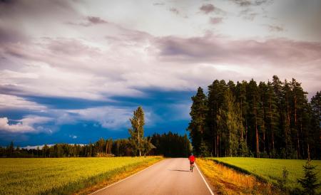 Road Amidst Trees in Forest Against Sky