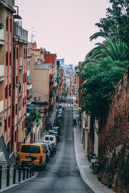 Road Between Buildings