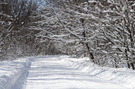 Road Full of Snow