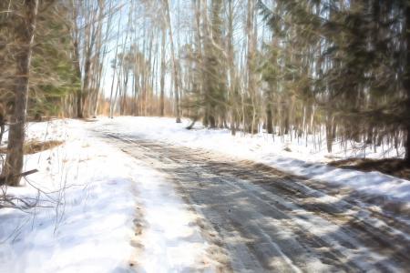 Road in Winter