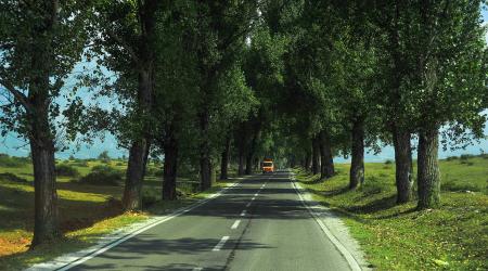 Road that leads to the Park