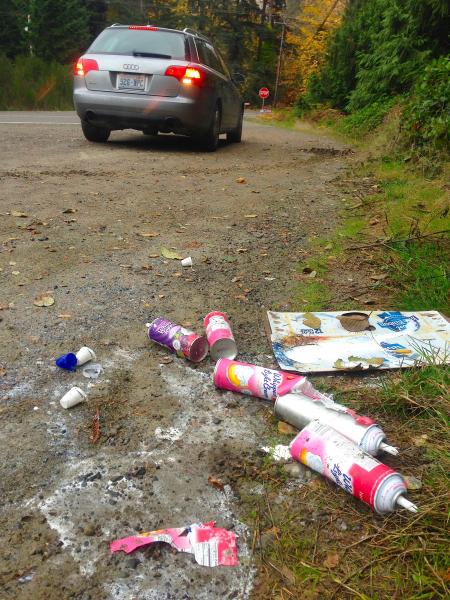 Roadside Trash