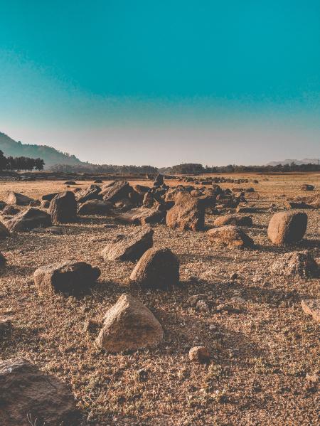 Rocks Near Trees and Mountains