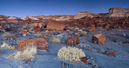 Rocky Landscape