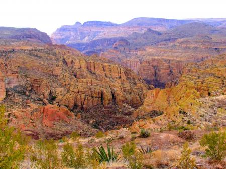 Rocky Landscape