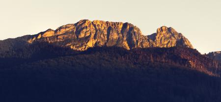 Rocky Mountain Surrounded Green Leaf Tree during Daytime