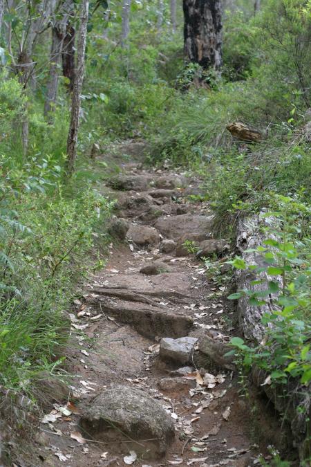 Rocky Pathway