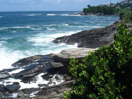 Rocky Shore