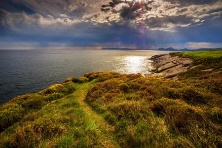 Rocky Shore