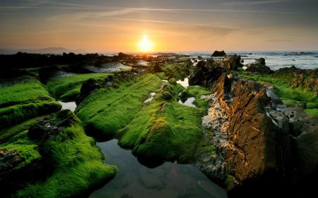 Rocky Shore