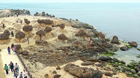 Rocky Shore