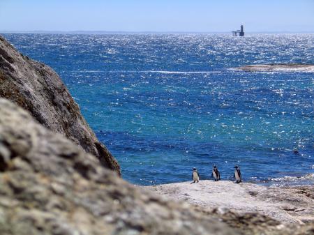 Rocky Shore