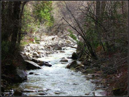 Rocky Stream