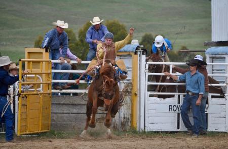 Rodeo Austin