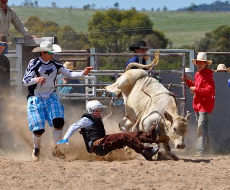 Rodeo Austin